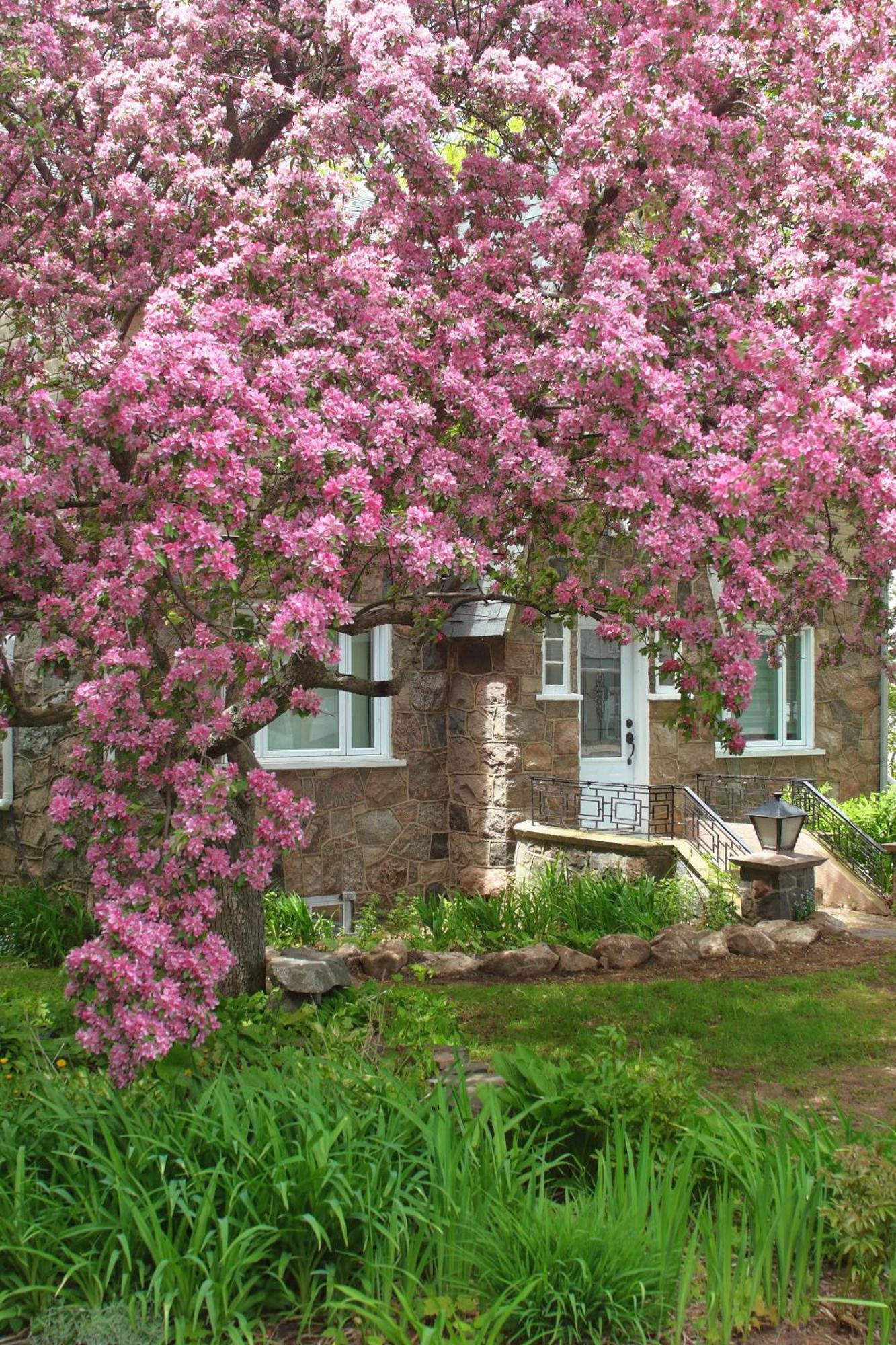 Rester Vivant Chambres D'Hotes 圣让波若利 外观 照片